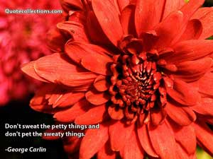George Carlin Quotes 1